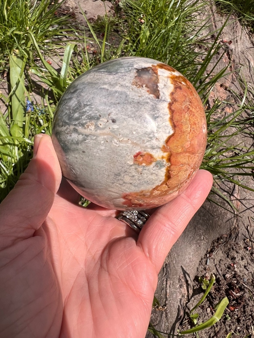 Petrified (10) wood sphere | Crystal